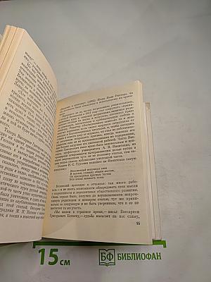 Белинский в Петербурге