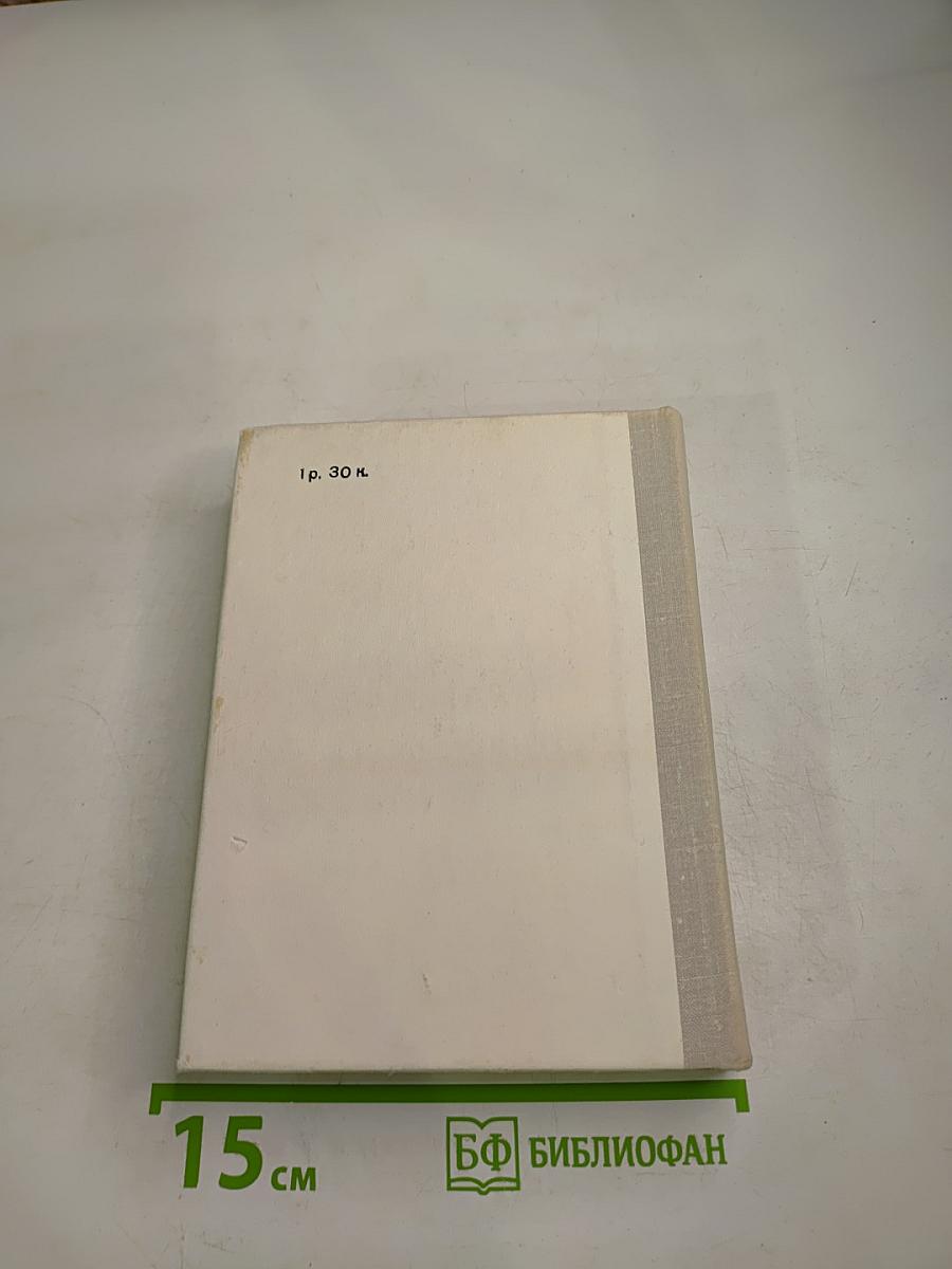 Белинский в Петербурге