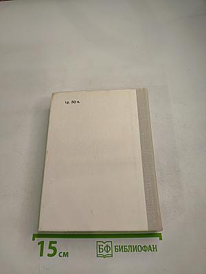 Белинский в Петербурге