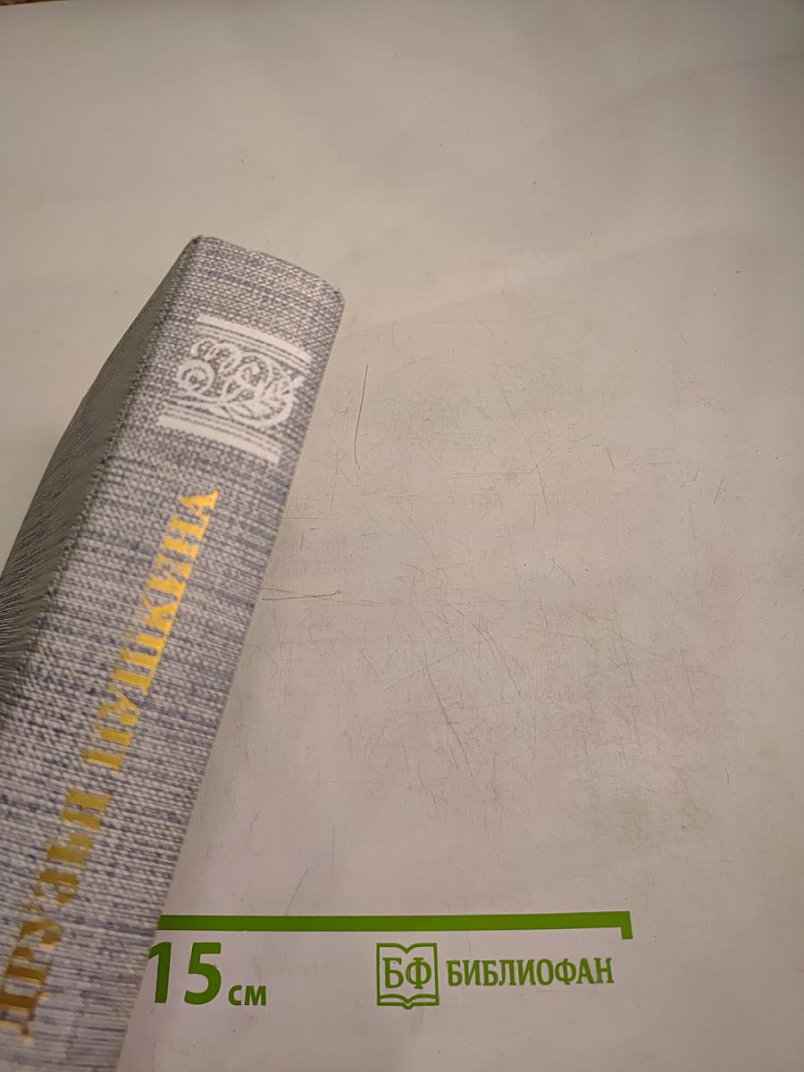 Друзья Пушкина. Переписка. Воспоминания. Дневники. Том 1