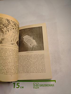 Антарктическая Одиссея