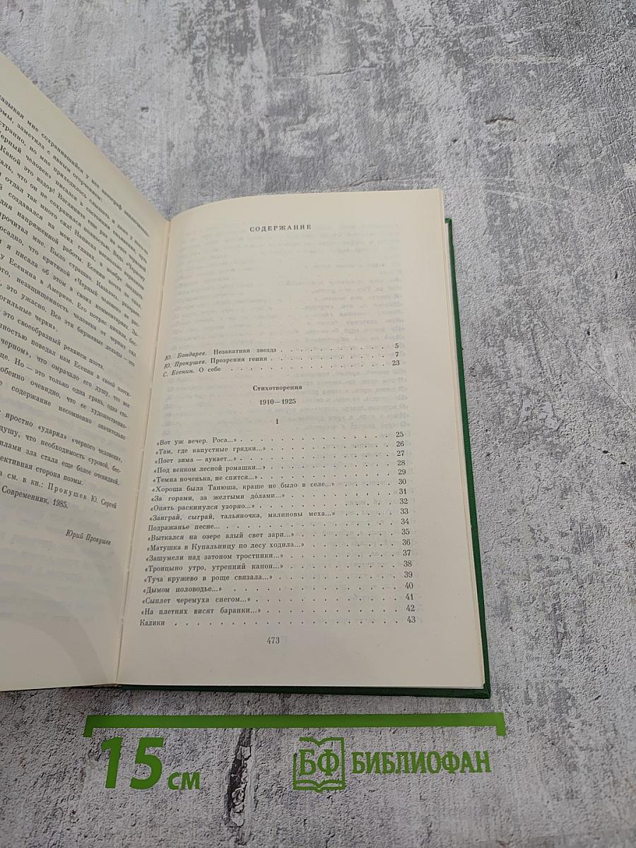 Сергей Есенин. Собрание сочинений в двух томах. Том 1. Стихотворения, поэмы
