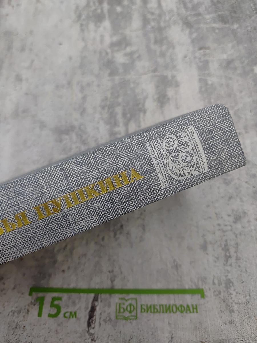 Друзья Пушкина. Переписка, воспоминания, дневники. Том 2