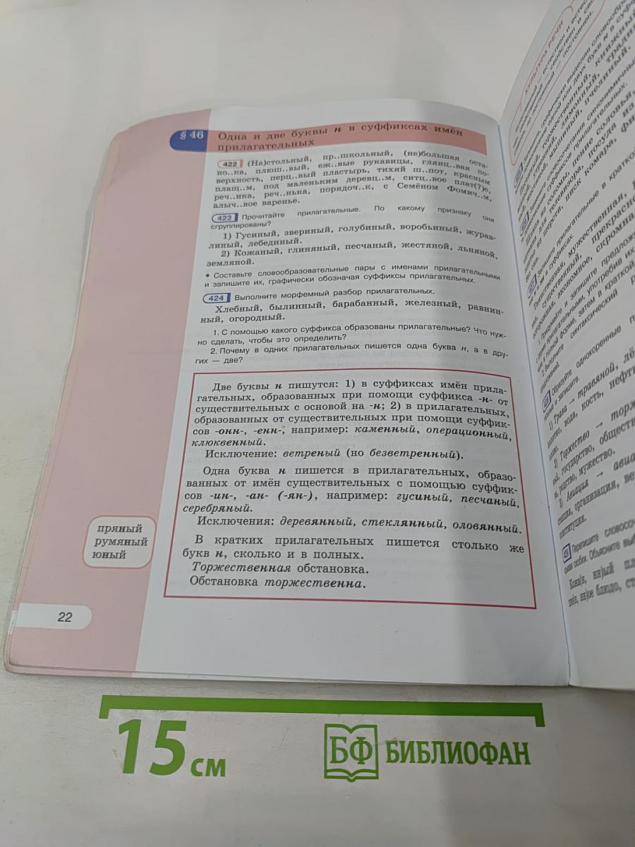 Русский язык 6 класс. Часть 2