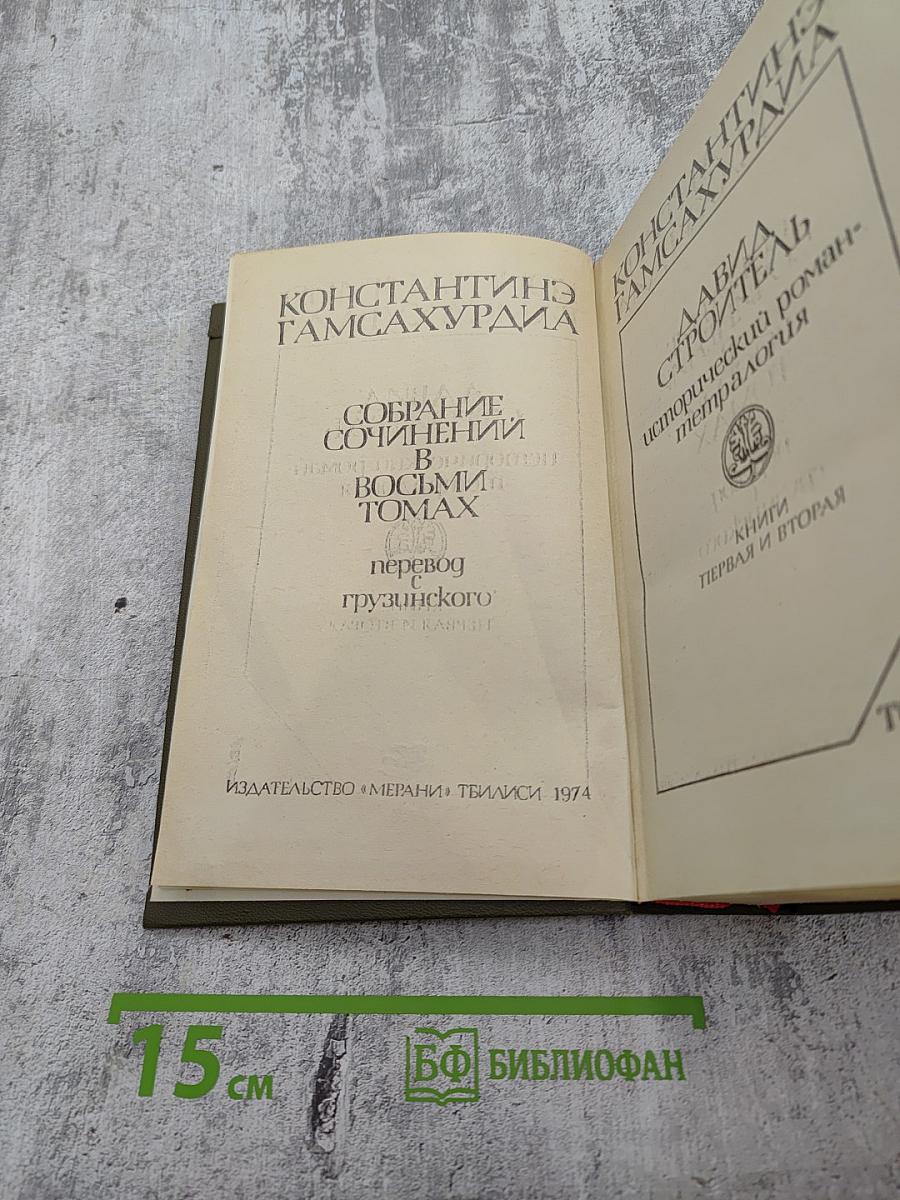 Давид Строитель. Книга первая и вторая