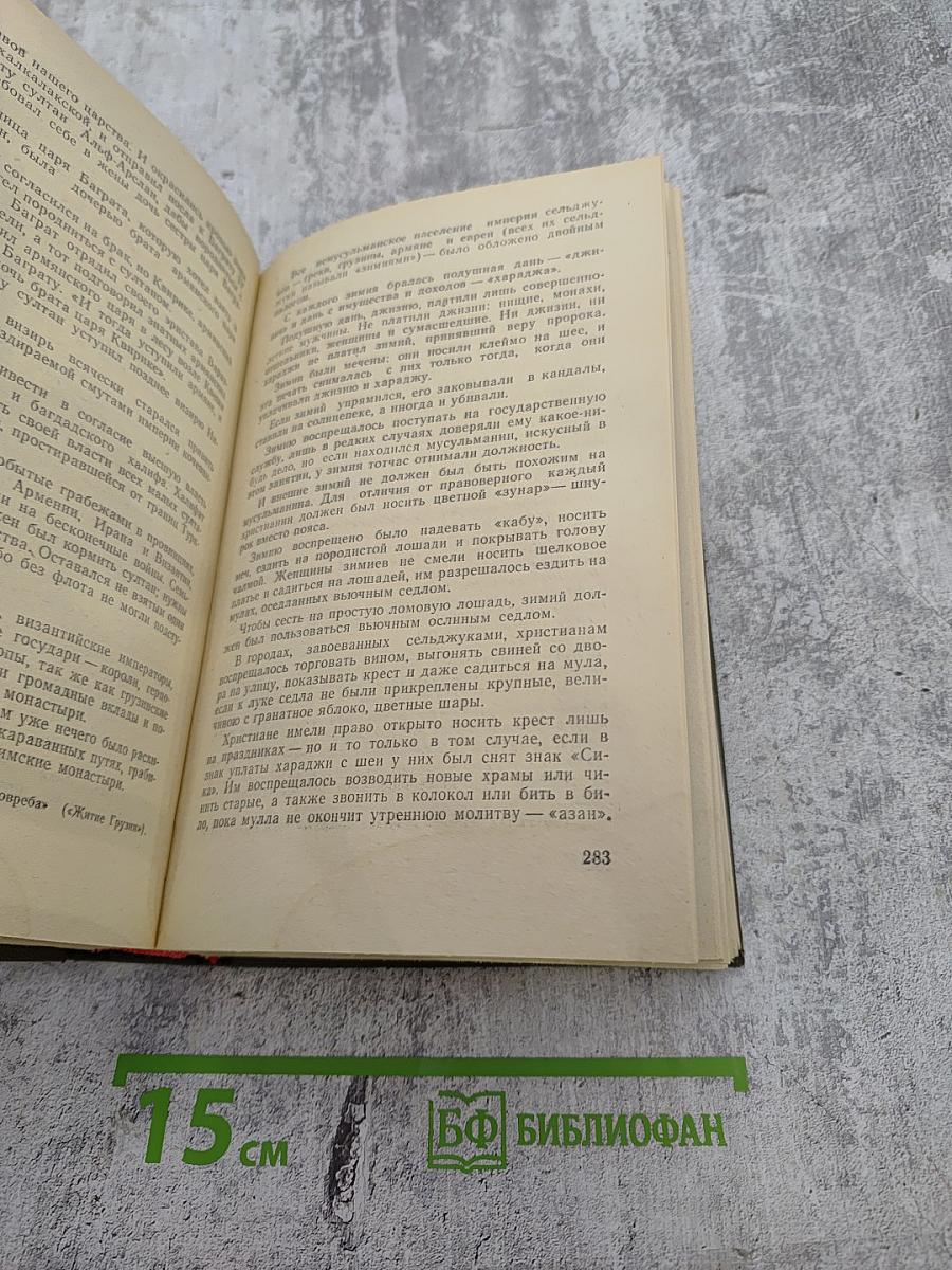 Давид Строитель. Книга первая и вторая