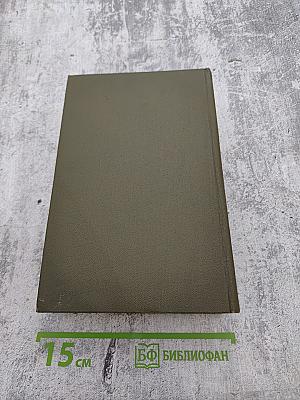 Давид Строитель. Книга первая и вторая