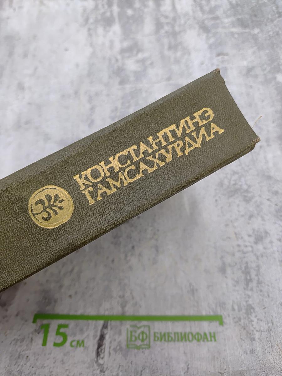 Давид Строитель. Книга первая и вторая