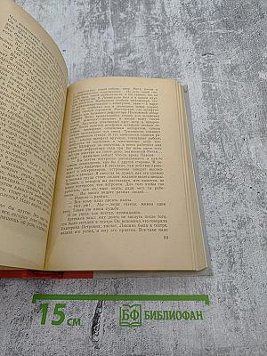 Московские зори. Книга вторая. Дороги славы