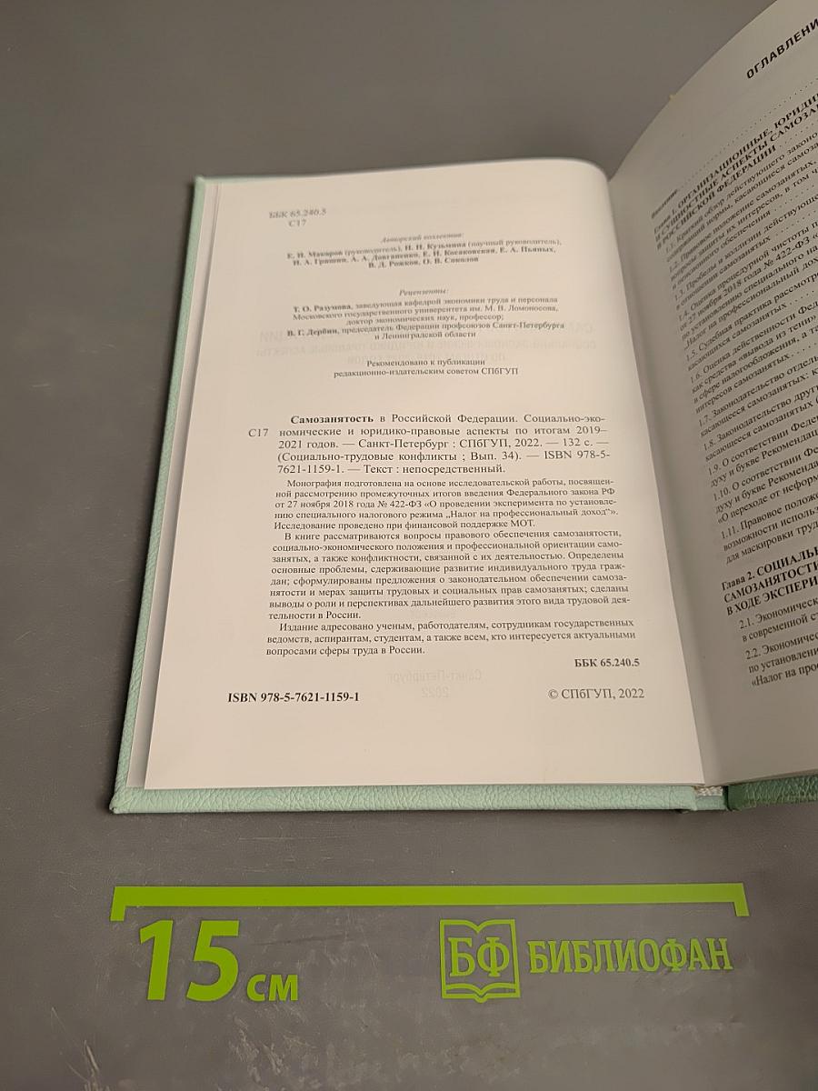 Самозанятость в Российской Федерации