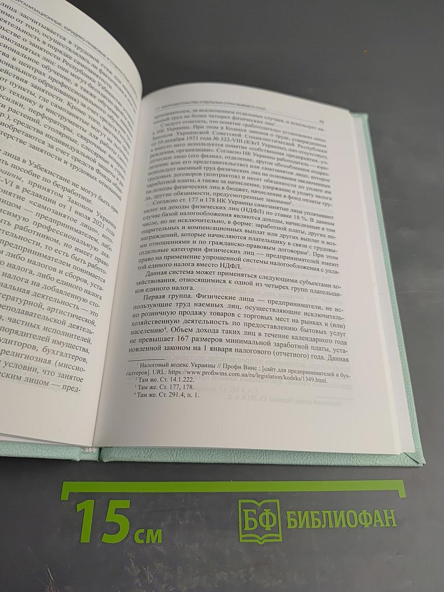 Самозанятость в Российской Федерации