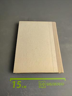 Семья Ульяновых в Петербурге - Петрограде