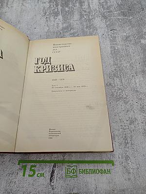 Год кризиса 1938-1939. Том 1. Документы и материалы