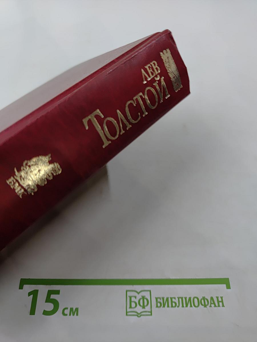 Война и мир. Книга 2 (Тома 3 и 4)