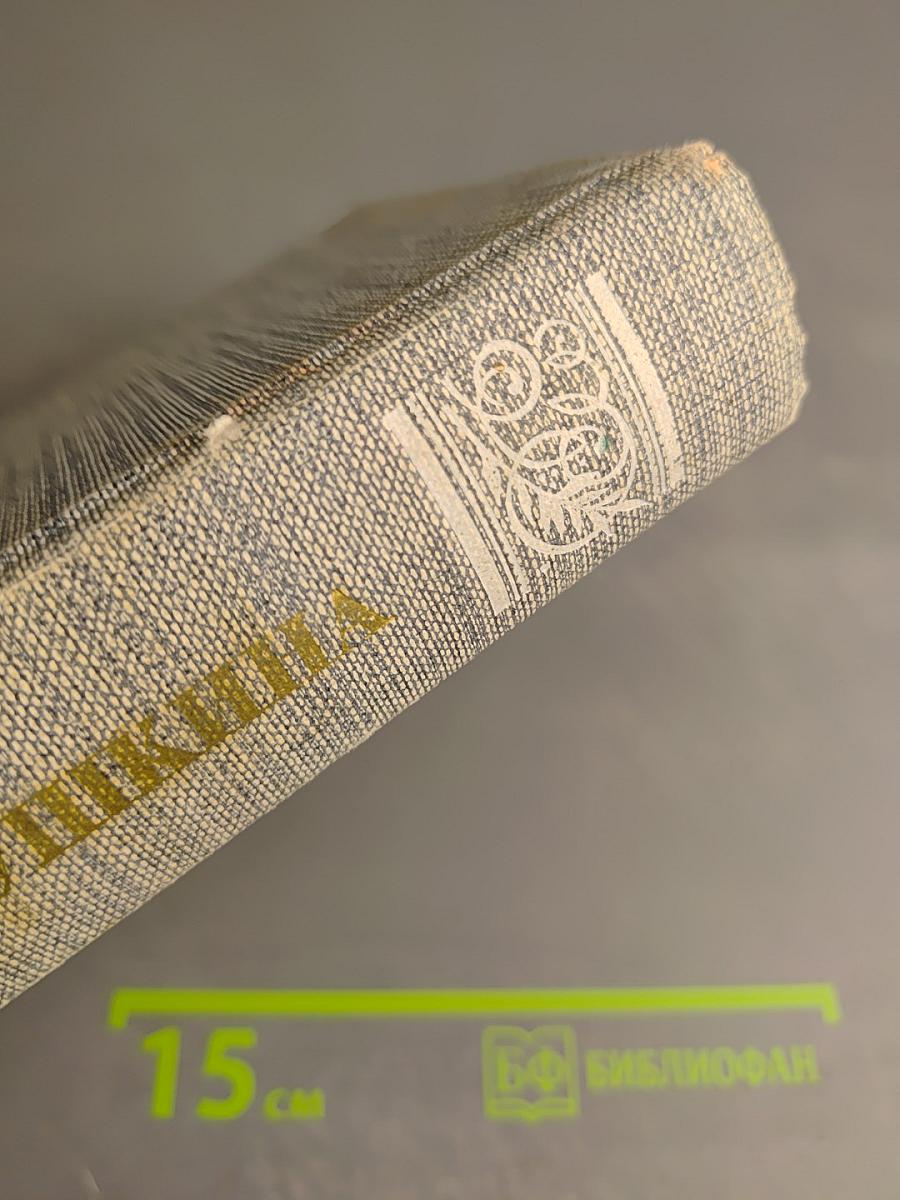 Друзья Пушкина. Переписка. Воспоминания. Дневники. Том 1