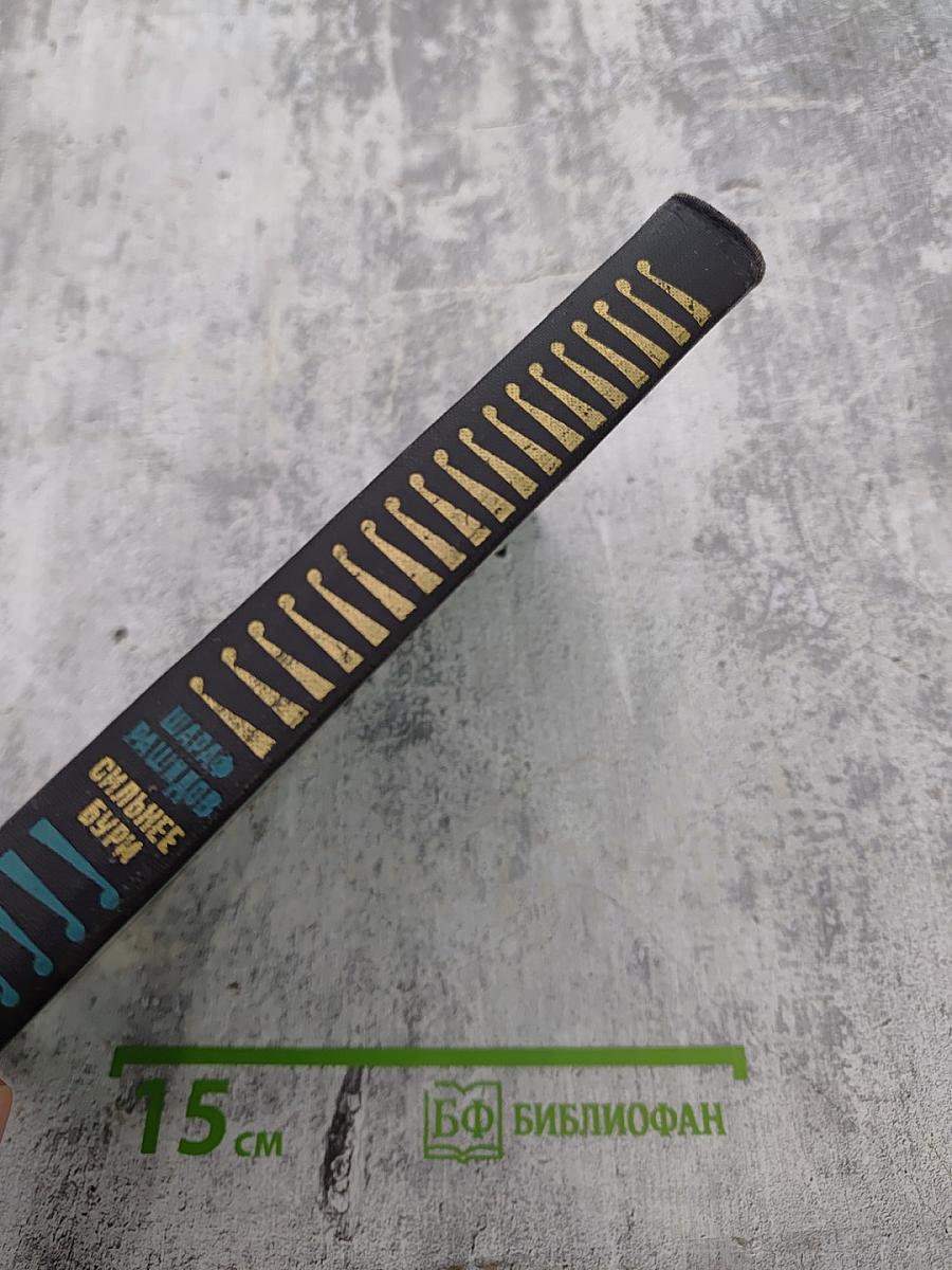 Сильнее бури