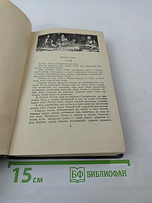 Звезды над Самаркандом. Хромой Тимур. Первая книга