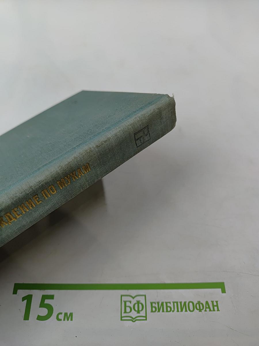 Хождение по мукам. Трилогия. Хмурое утро