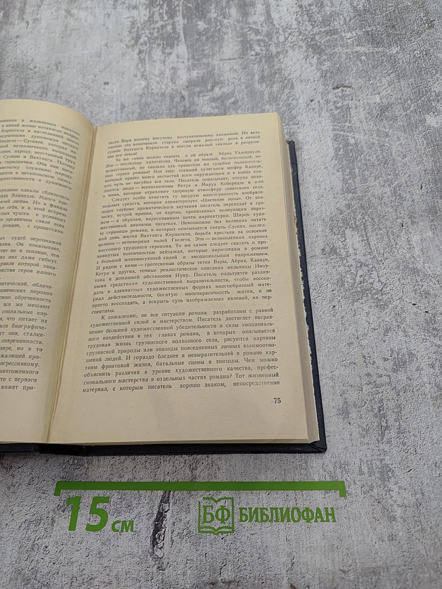 Похищение Луны. Том I