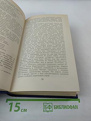 Друзья Пушкина. Переписка, Воспоминания, Дневники. Том 2