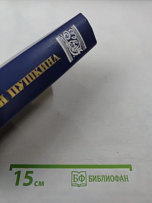 Друзья Пушкина. Переписка, Воспоминания, Дневники. Том 2