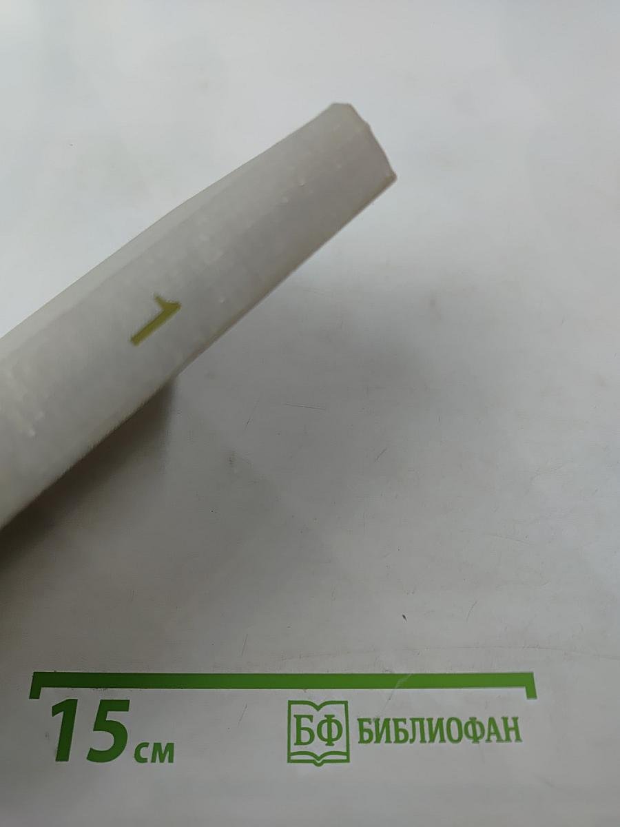 Советский тыл в Великой Отечественной войне. Книга первая. Общие проблемы