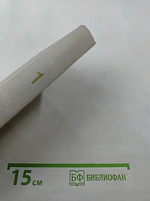 Советский тыл в Великой Отечественной войне. Книга первая. Общие проблемы