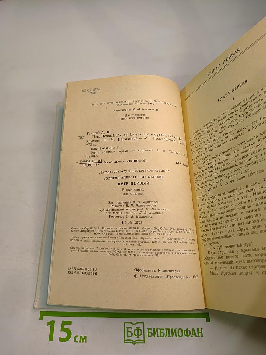 Пётр Первый. Роман в трех книгах. Книга первая