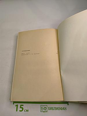 Пётр Первый. Роман в трех книгах. Книга первая