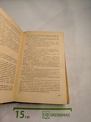 Хмельницкий. Том II