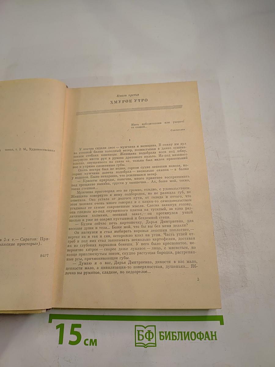 Хождение по мукам. Том второй. Книга третья: Хмурое утро