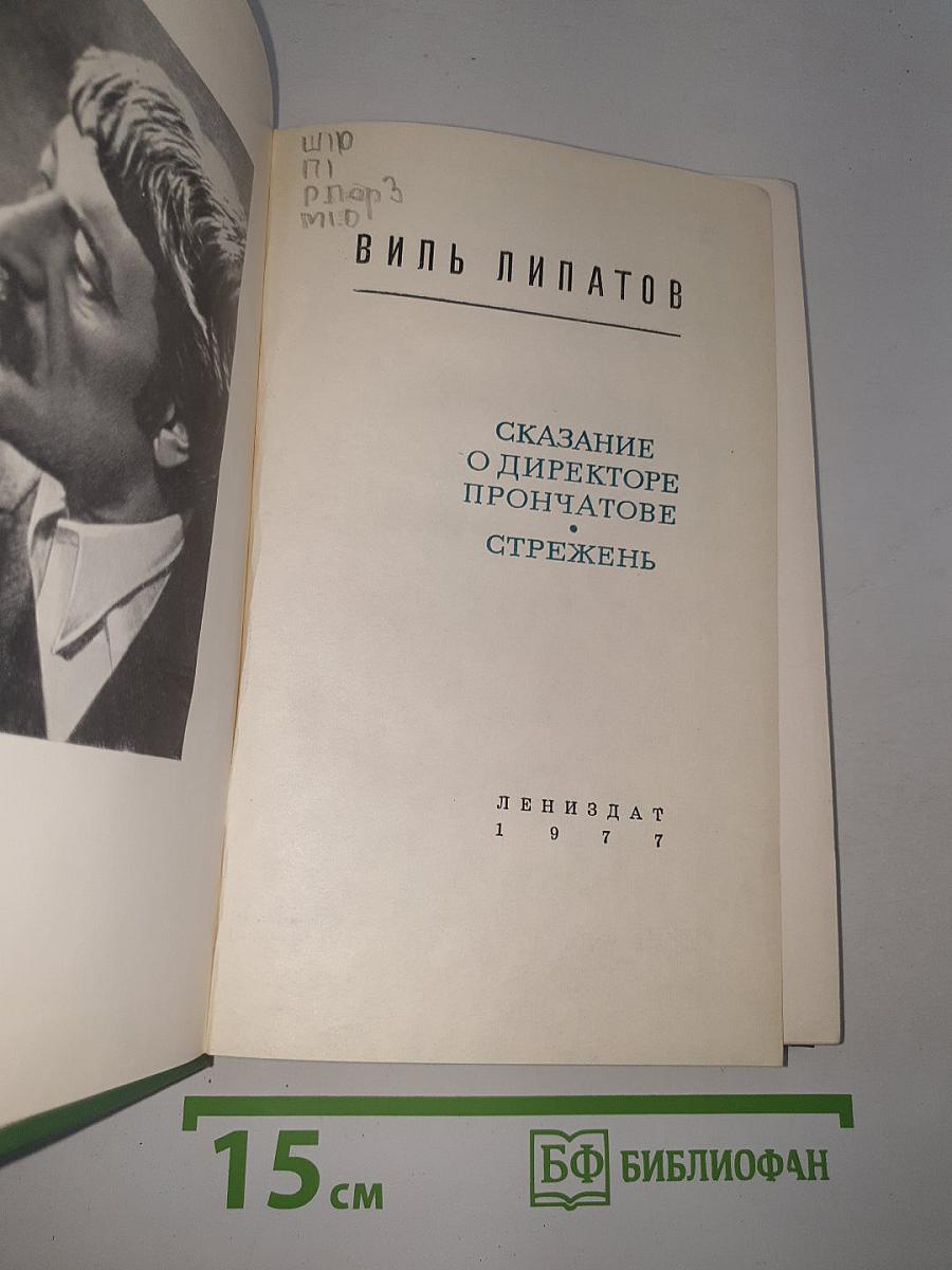 Сказание о директоре Прончатове. Стрежень