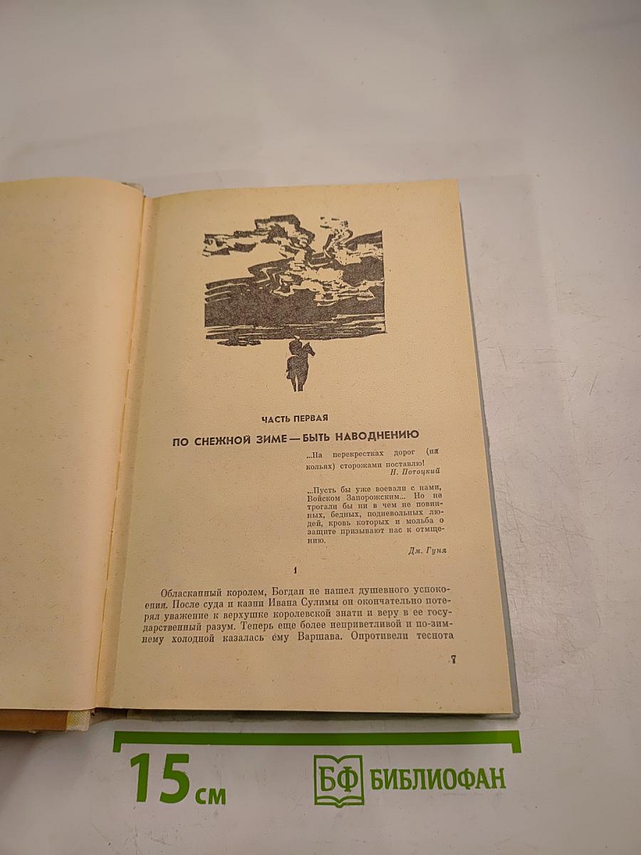 Хмельницкий. Книга третья