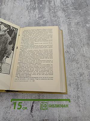 Собрание сочинений в двенадцати томах. Том 10