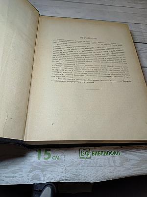 Энциклопедический Словарь. Том 1: А-Й