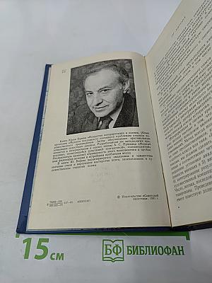 Искусство интерпретации и оценки. Опыт прочтения «Медного всадника»