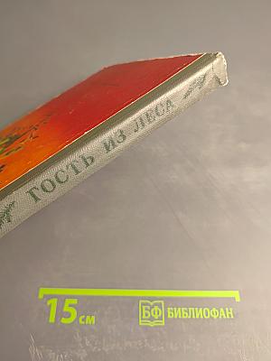 Гость из леса