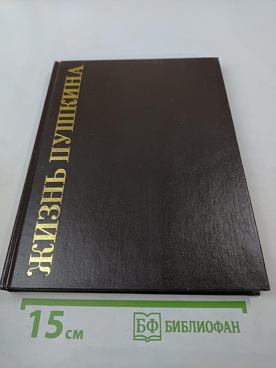 Жизнь Пушкина. Книга вторая. На берегах Невы