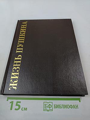 Жизнь Пушкина. Книга вторая. На берегах Невы