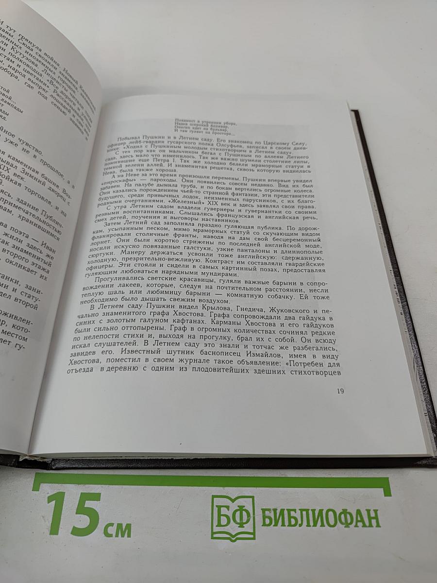 Жизнь Пушкина. Книга вторая. На берегах Невы