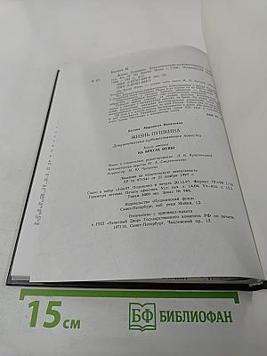 Жизнь Пушкина. Книга вторая. На берегах Невы