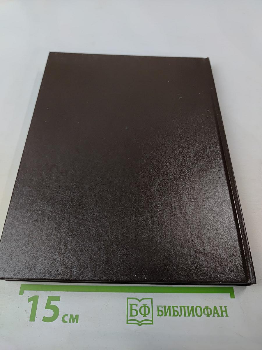 Жизнь Пушкина. Книга вторая. На берегах Невы