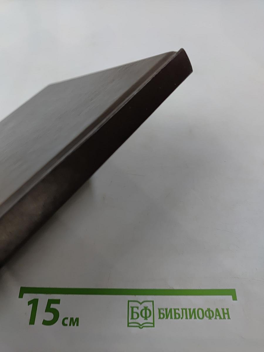 Жизнь Пушкина. Книга вторая. На берегах Невы