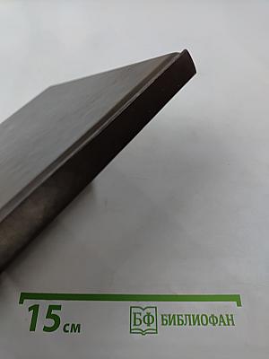 Жизнь Пушкина. Книга вторая. На берегах Невы