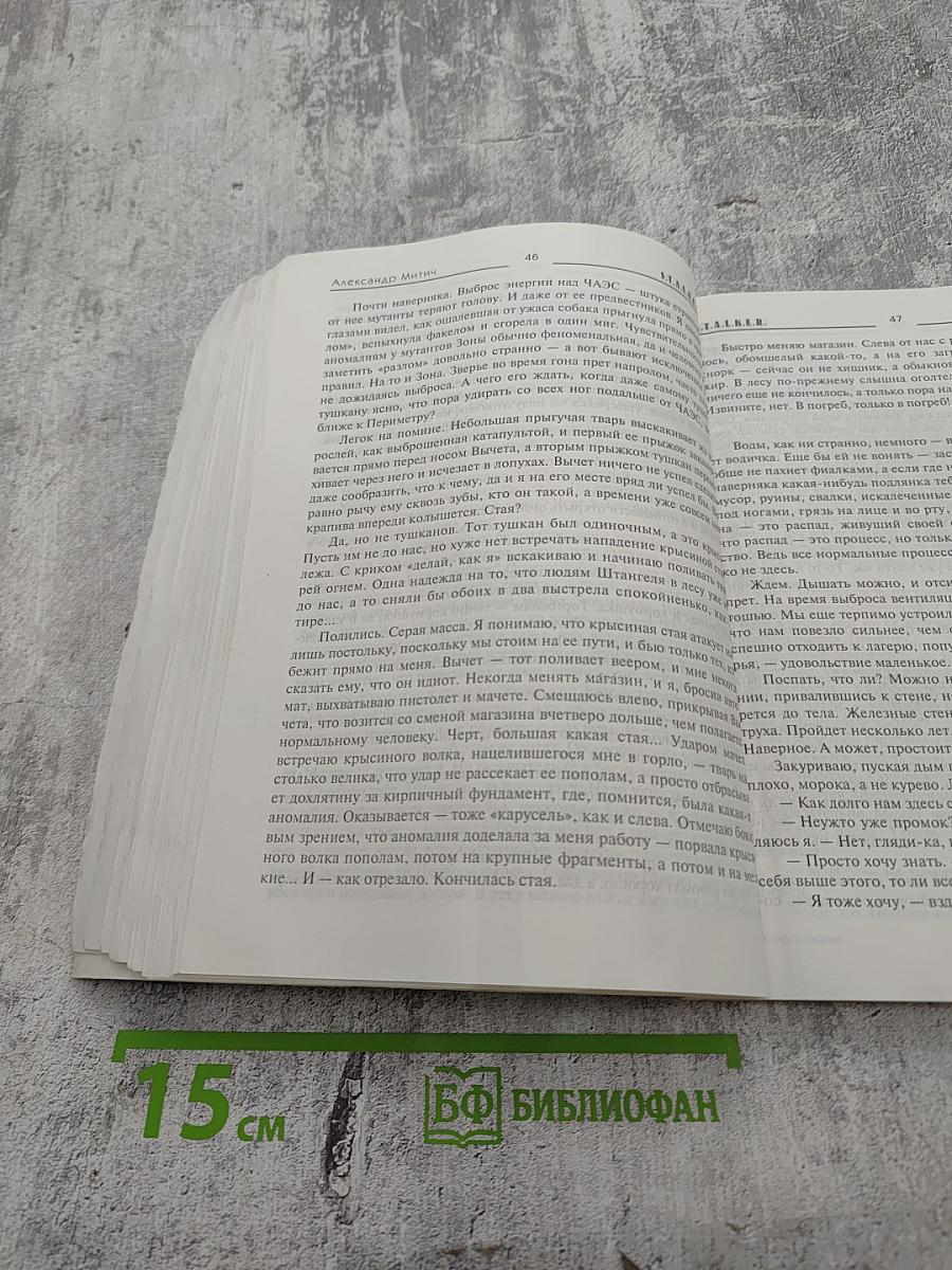 S.T.A.L.K.E.R. Игра в поддавки