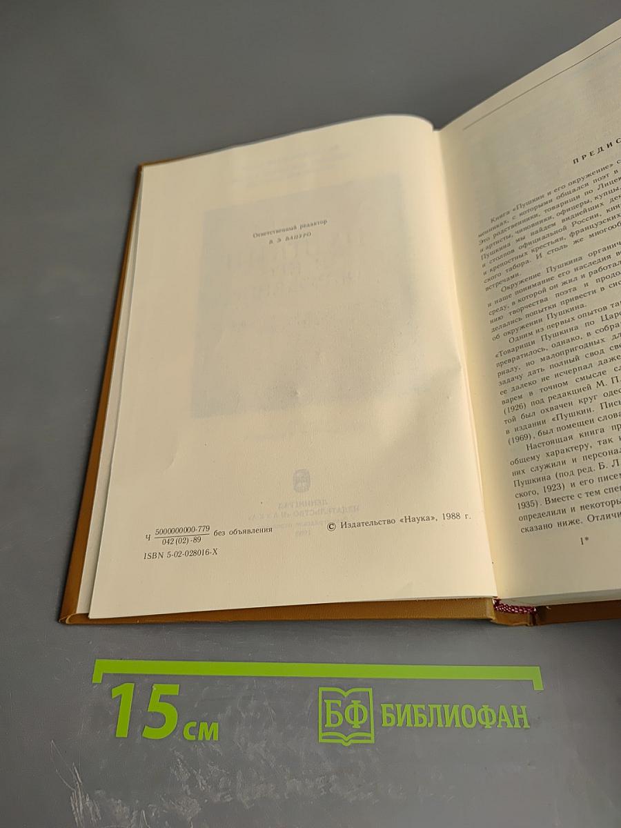 Пушкин и его окружение