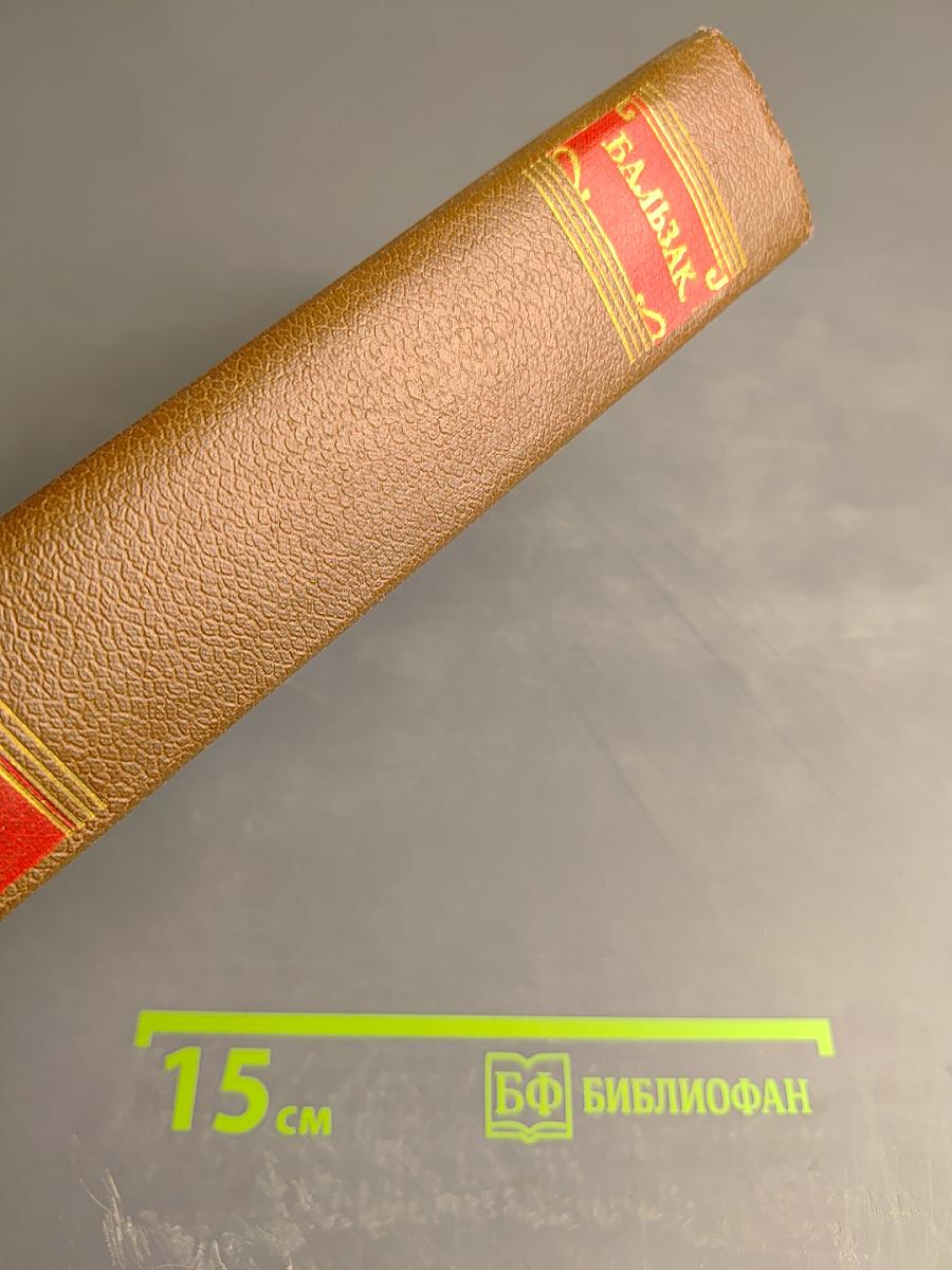 Собрание сочинений в двадцати томах. Том 15: Очерки. Литературно-критические статьи. Избранные письма