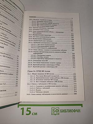 Информатика. Информационные технологии. Часть 2