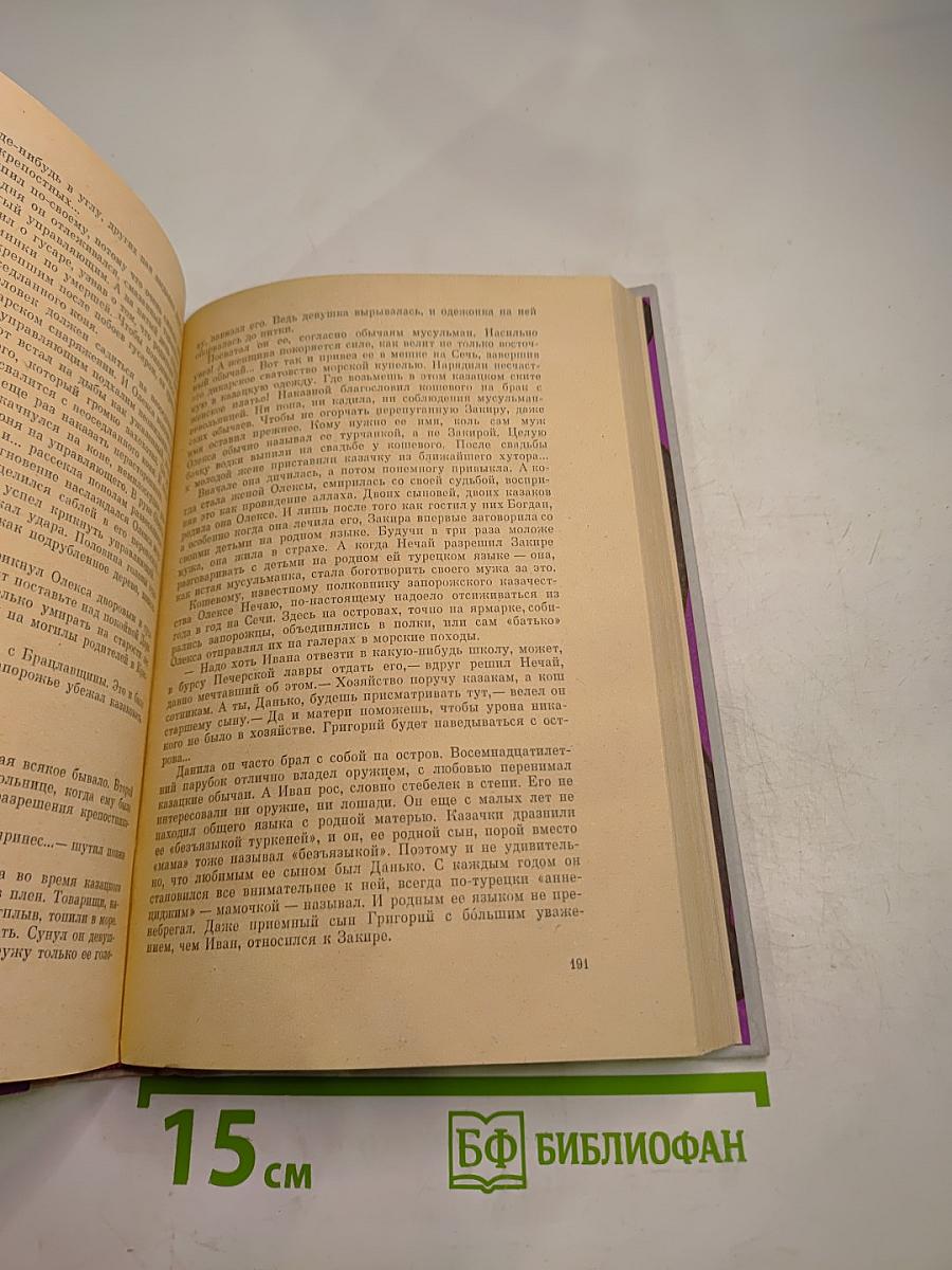 Хмельницкий. Книга вторая