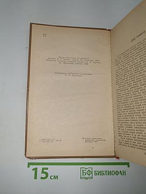 Дневник партизанских действий 1812 г. Записки кавалерист-девицы